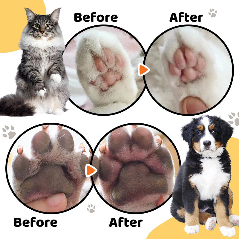 🔥HOT SALE 49% OFF🔥Waterproof Rechargeable Pet Shaver with LED Light (Common to cats and dogs) - Image 4