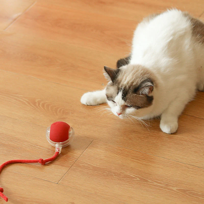 💥Buy 2 Get 1 Free🐱🐶Smart Automatic Rolling Pet Ball - Image 4