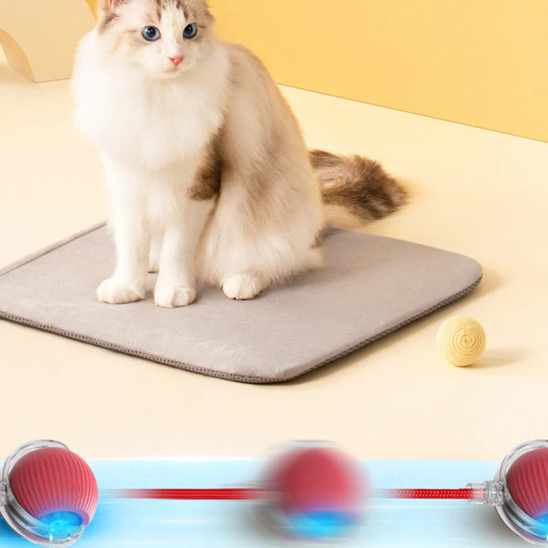 💥Buy 2 Get 1 Free🐱🐶Smart Automatic Rolling Pet Ball - Image 5