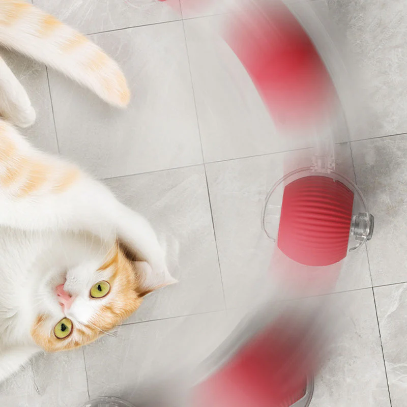 💥Buy 2 Get 1 Free🐱🐶Smart Automatic Rolling Pet Ball - Image 8