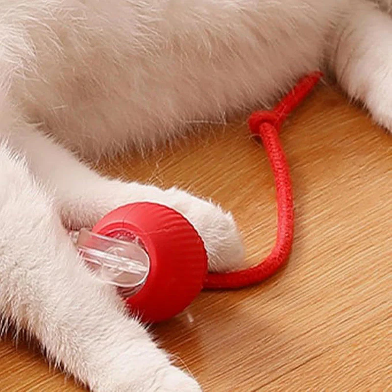 💥Buy 2 Get 1 Free🐱🐶Smart Automatic Rolling Pet Ball - Image 9